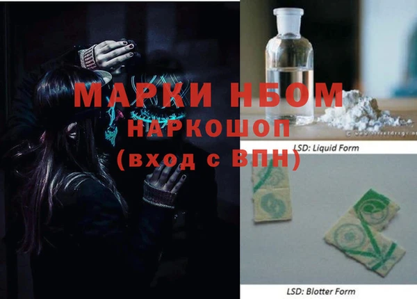 шишки Баксан