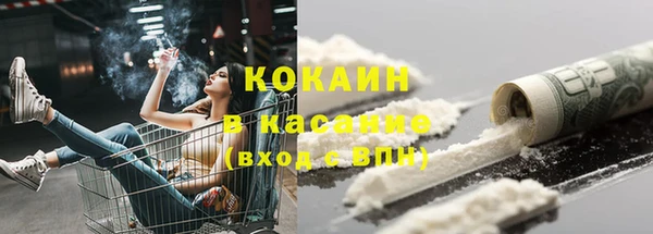 шишки Баксан