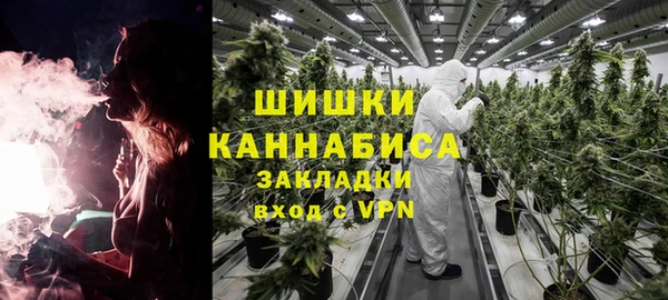 шишки Баксан