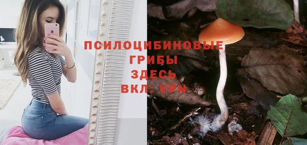 дмт Балабаново