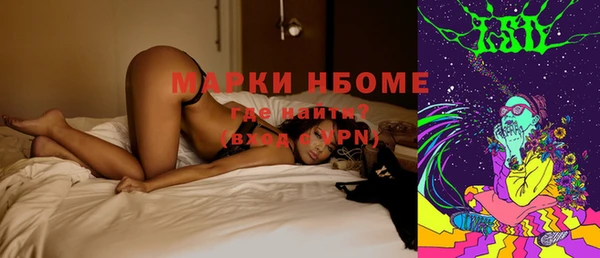 шишки Баксан