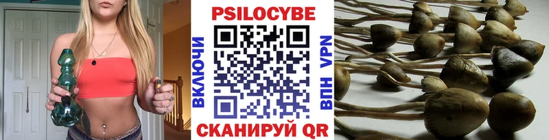 мориарти клад  Электросталь  Галлюциногенные грибы Psilocybine cubensis  купить  цена 